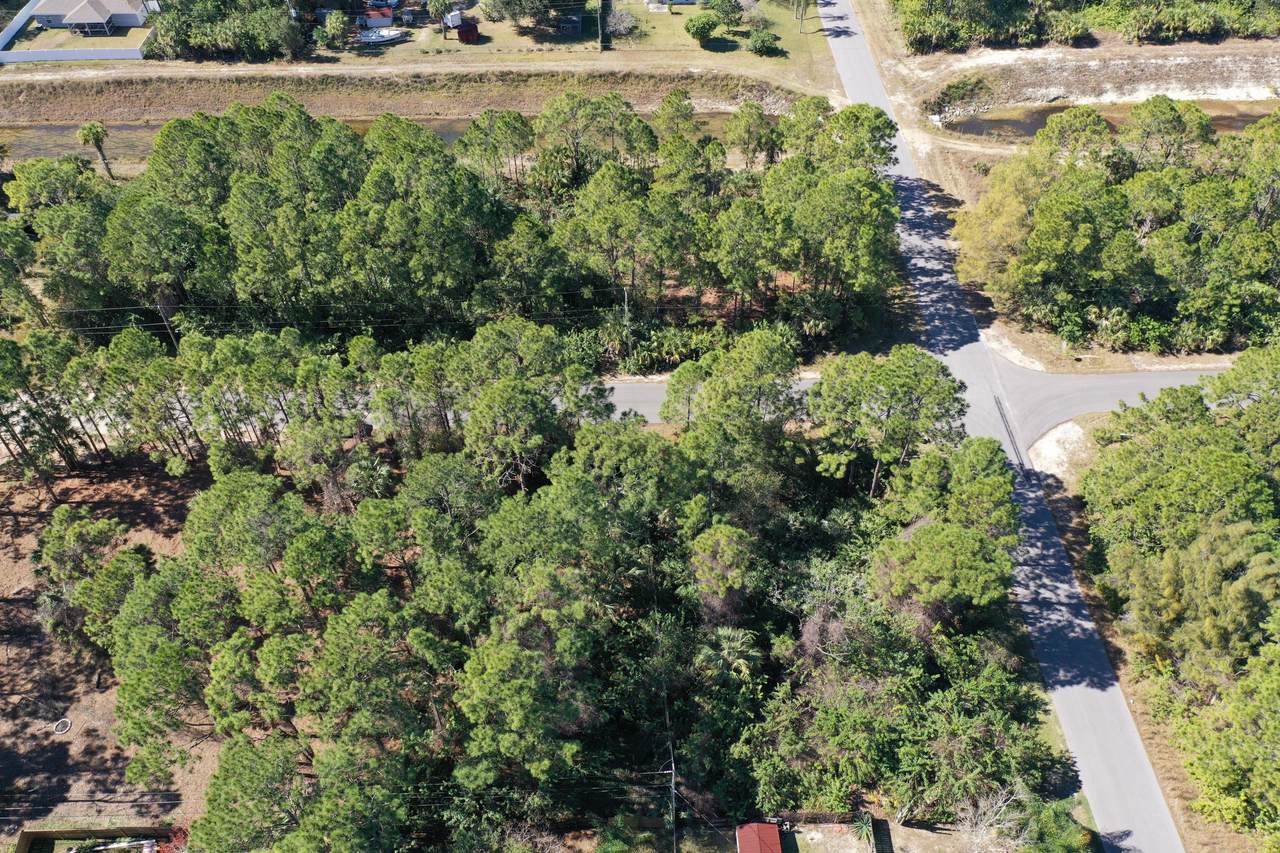 1315 Amelia Avenue - Photo 1