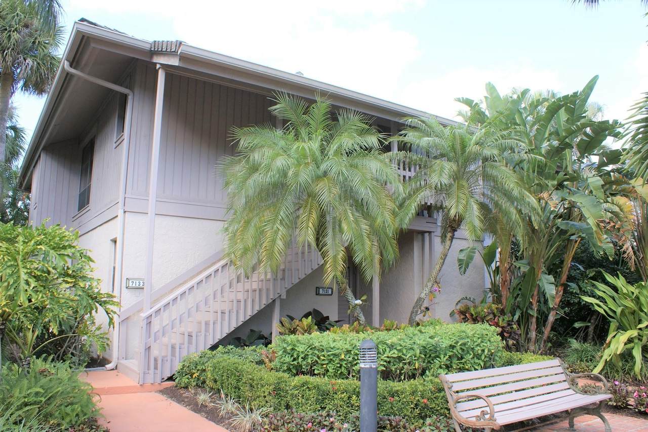 7133 Rain Forest Drive - Photo 1