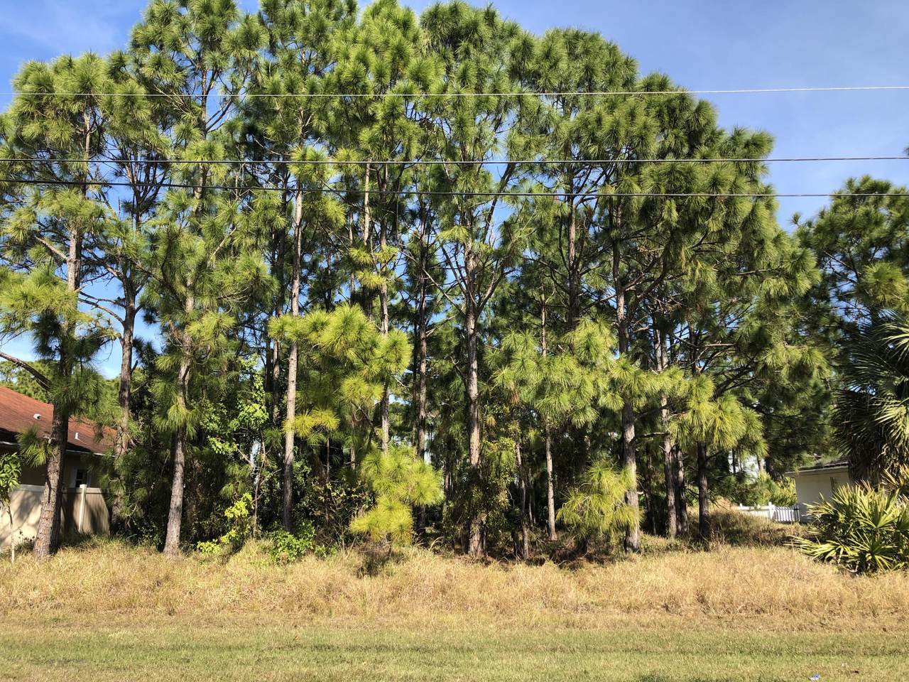 5697 Wesley Road - Photo 1