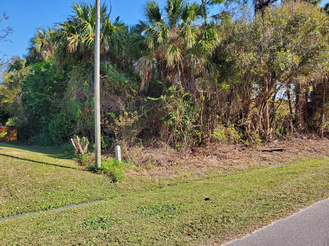 2373 Pamona Street - Photo 1