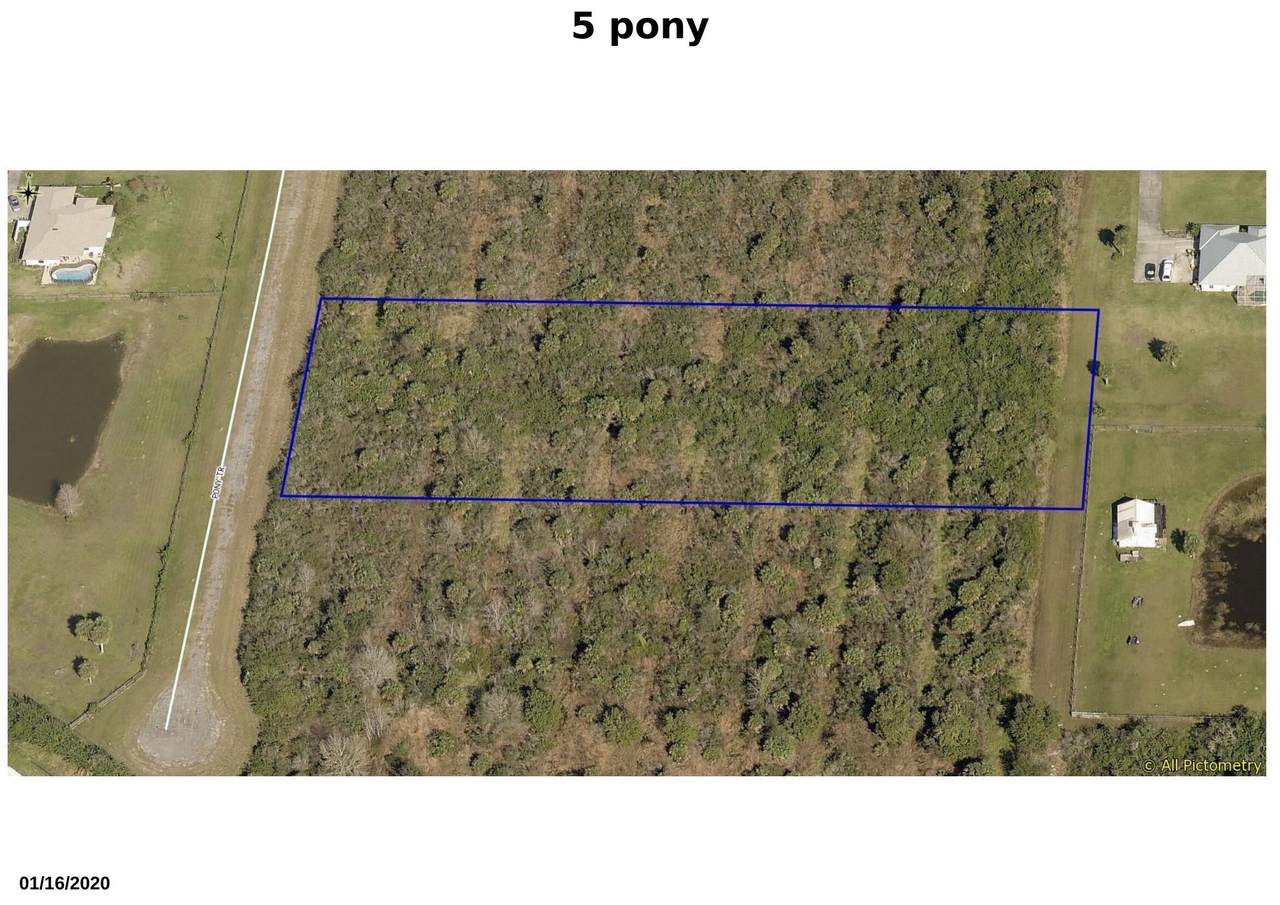 5 Pony Trail - Photo 1