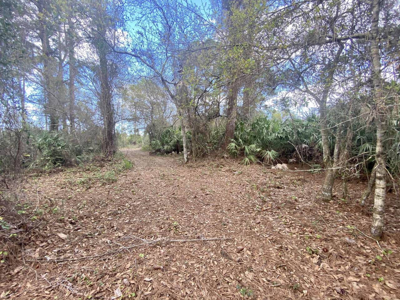 4620 Seminole Road - Photo 1