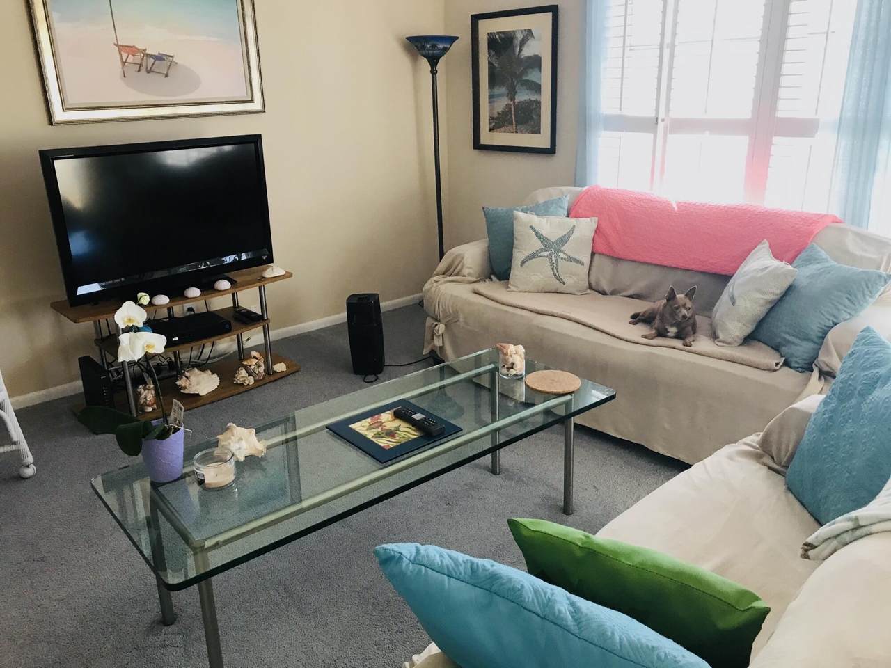 4501 Ocean Boulevard - Photo 1