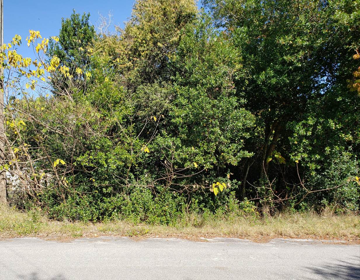 1973 Shore Road - Photo 1