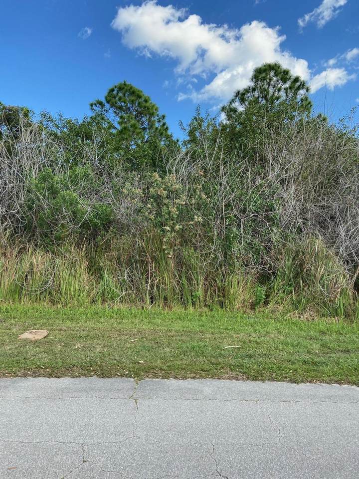 2101 Medlock Avenue - Photo 1