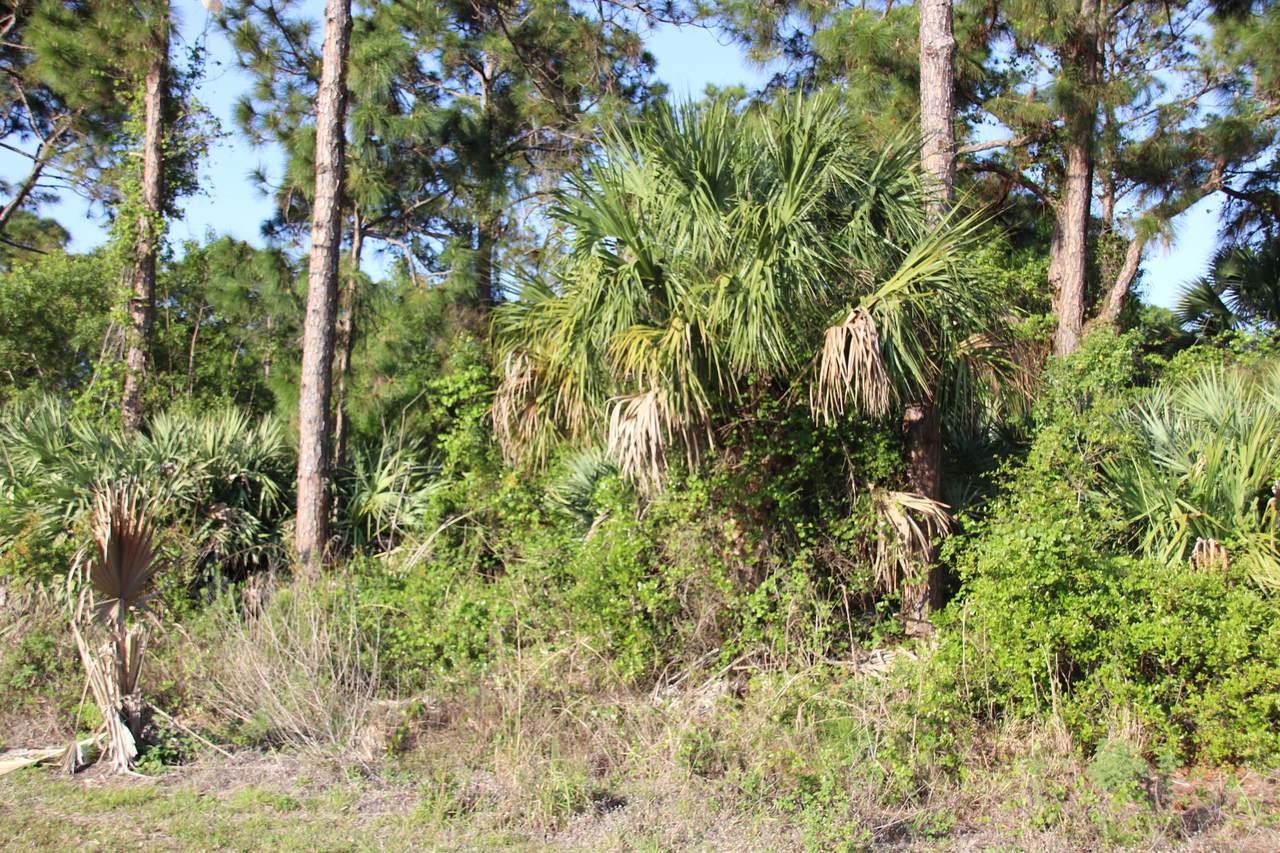 3272 Port St Lucie Boulevard - Photo 1