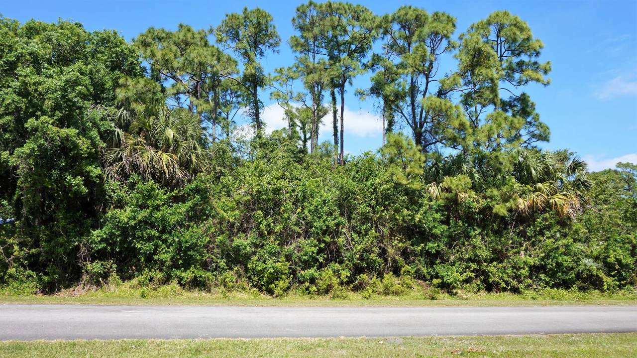8404 Citrus Park Boulevard - Photo 1