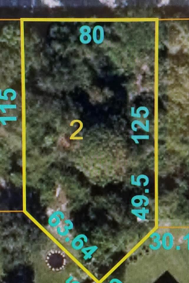 1244 Becker Road - Photo 1