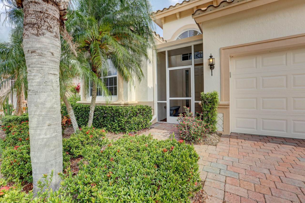 11420 Mountain Ash Circle - Photo 1