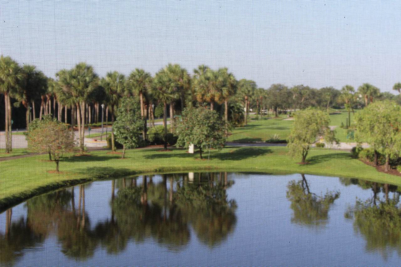 19399 Sabal Lake Drive - Photo 1