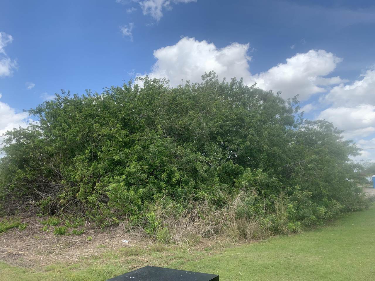 4650 Eagle Street - Photo 1