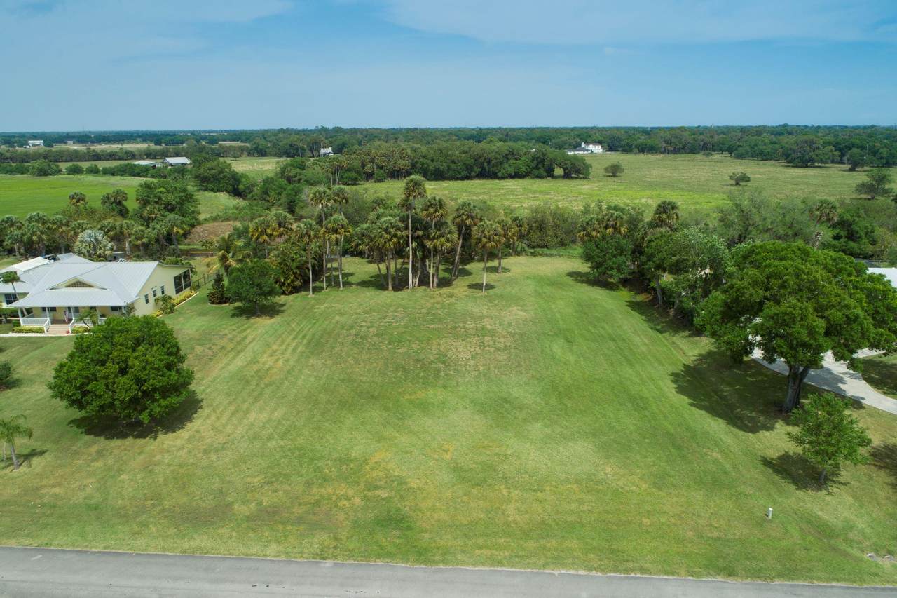 11850 Twin Creeks Drive - Photo 1
