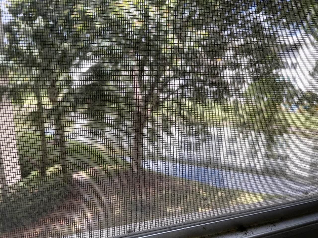 1701 Andros Isle - Photo 1
