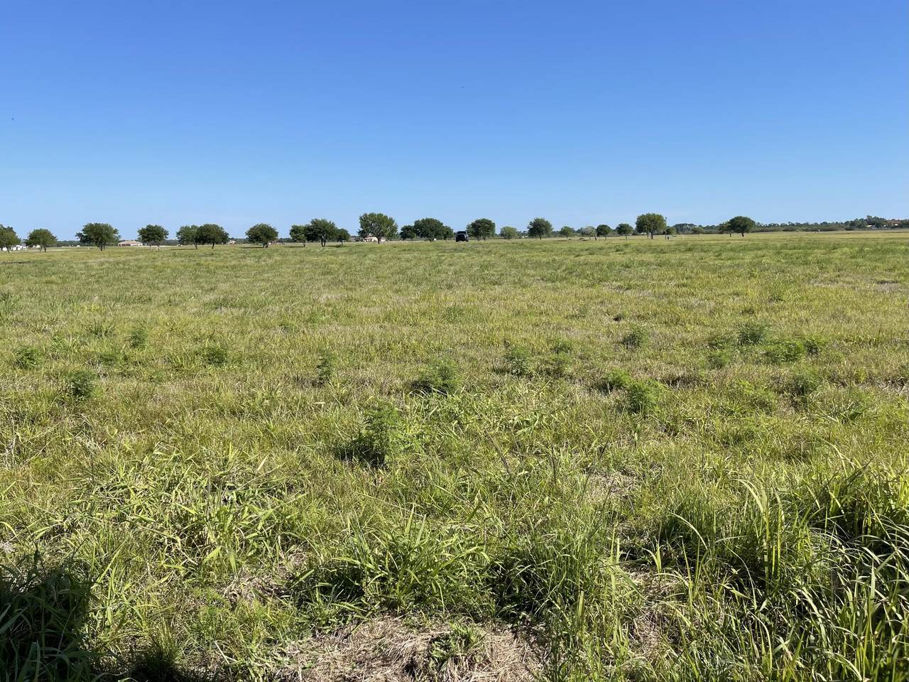 3440 Briarbrook Way - Photo 1