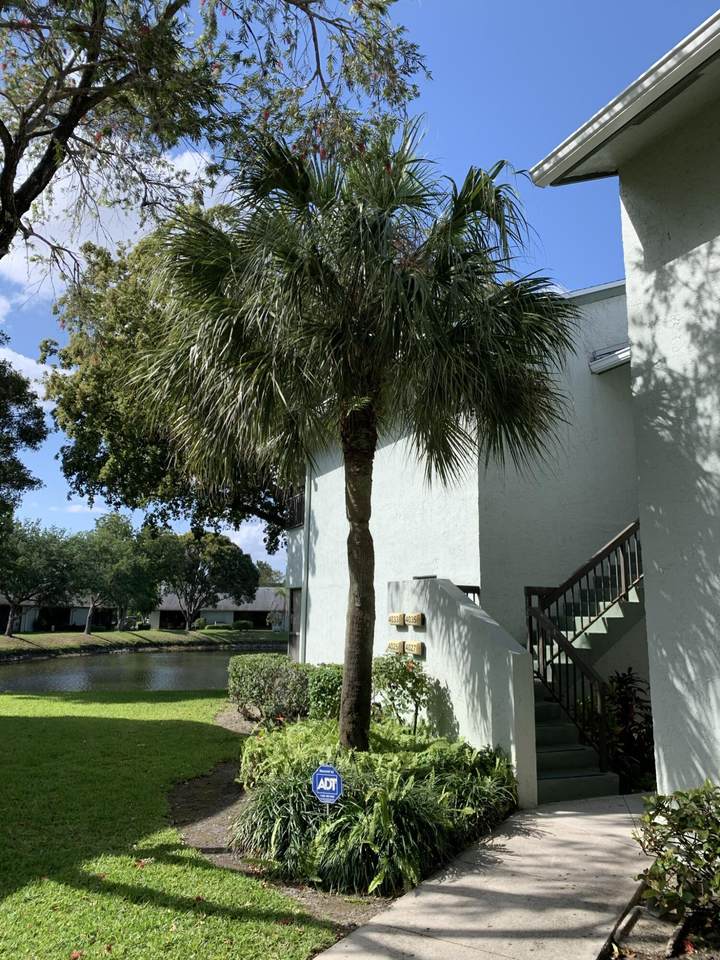 4033 Carambola Circle - Photo 1
