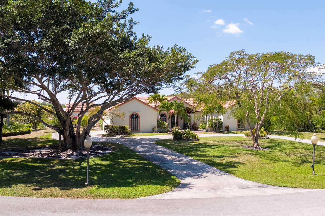 8728 Wendy Lane - Photo 1