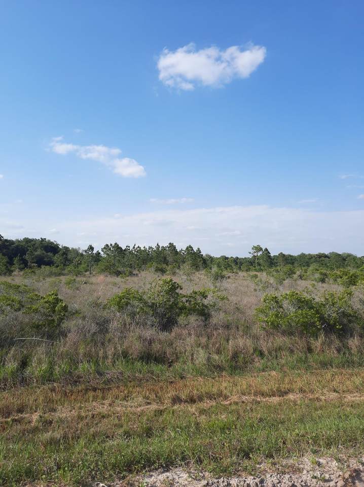 15567 304 Street - Photo 1