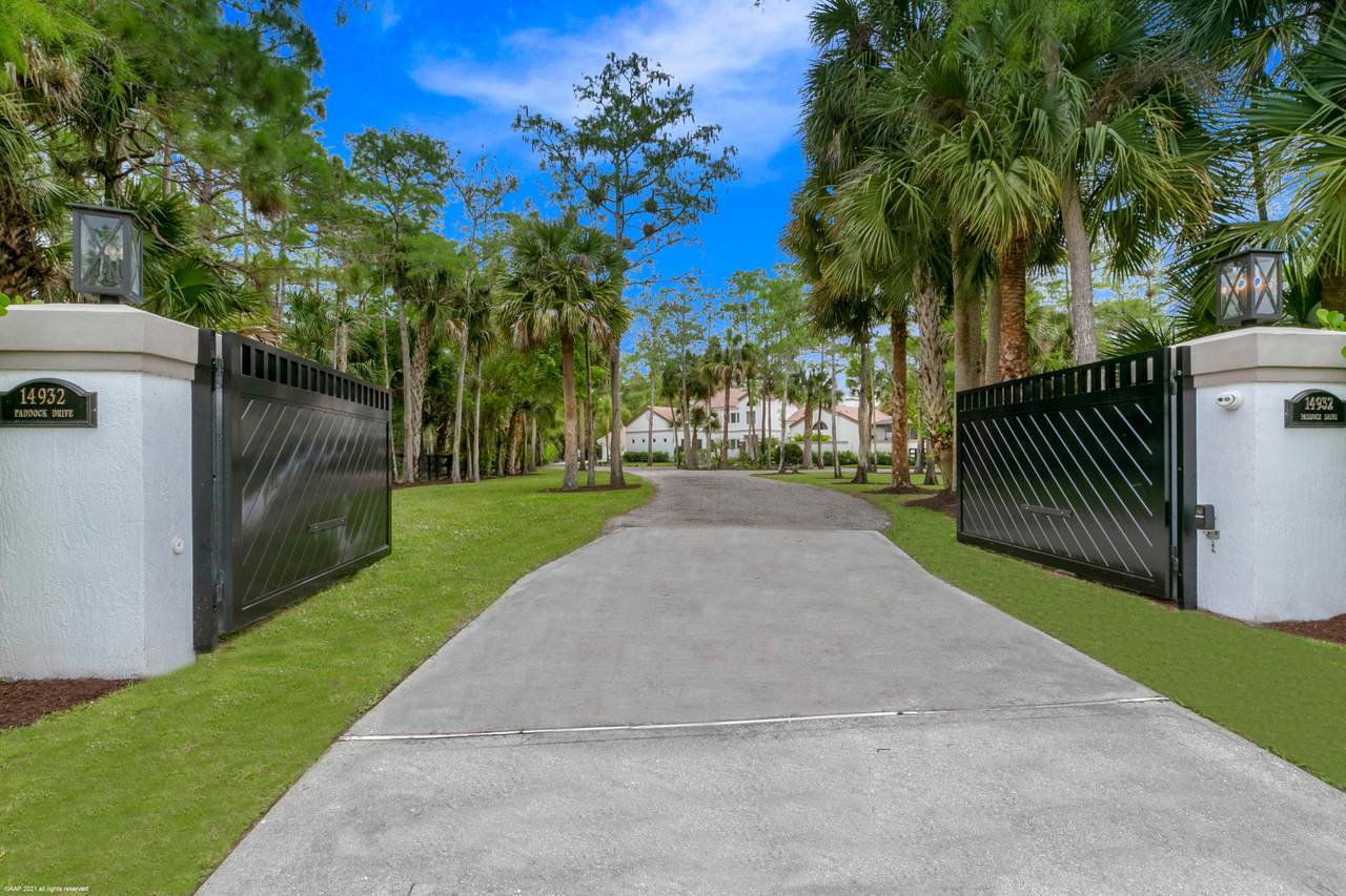 14932 Paddock Drive - Photo 1