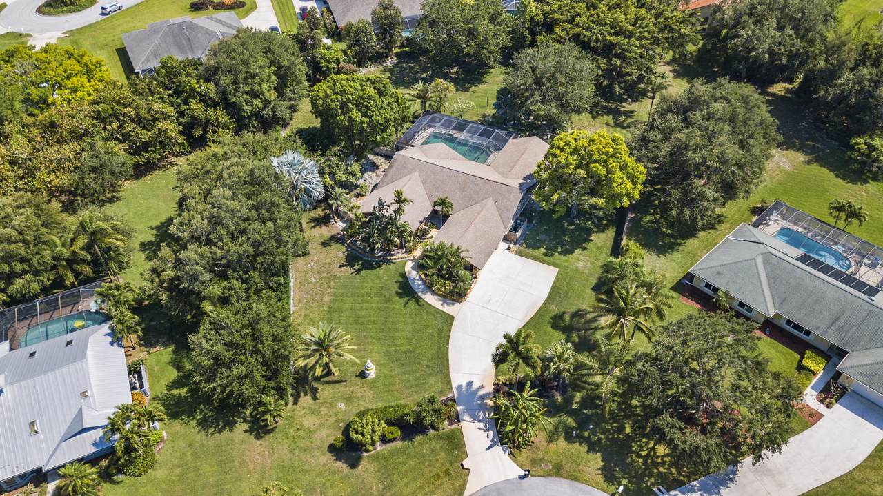 346 Ficus Terrace - Photo 1