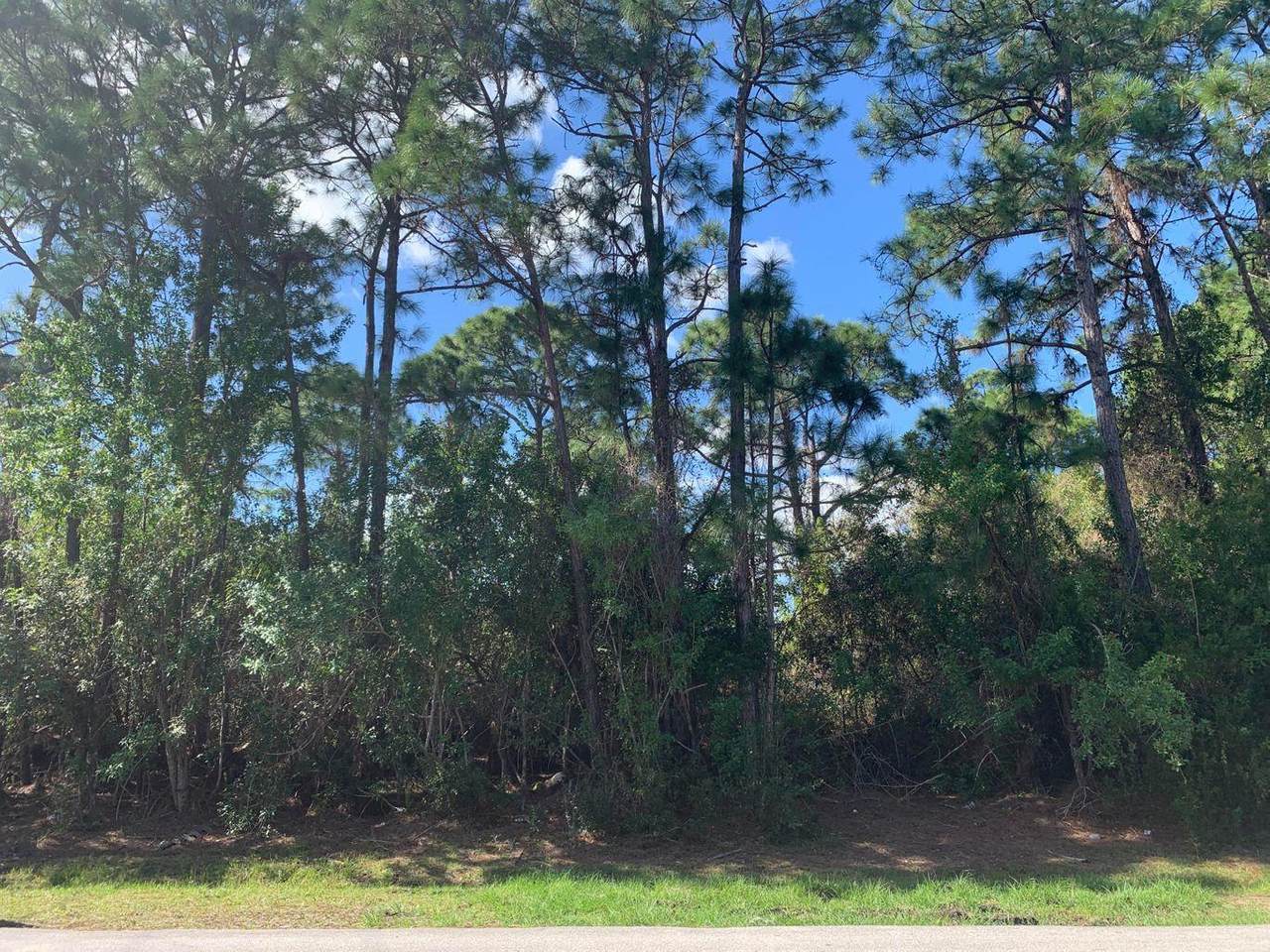 1250 Paar Drive - Photo 1