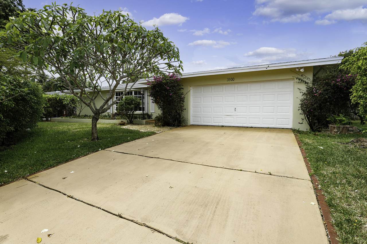 3900 Carnation Circle - Photo 1