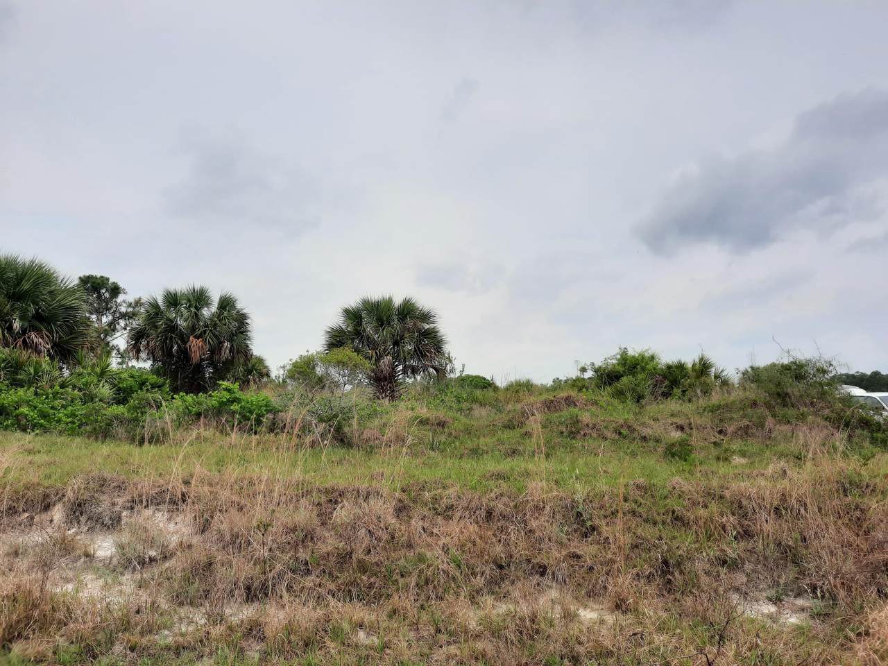 21920 274th Street - Photo 1
