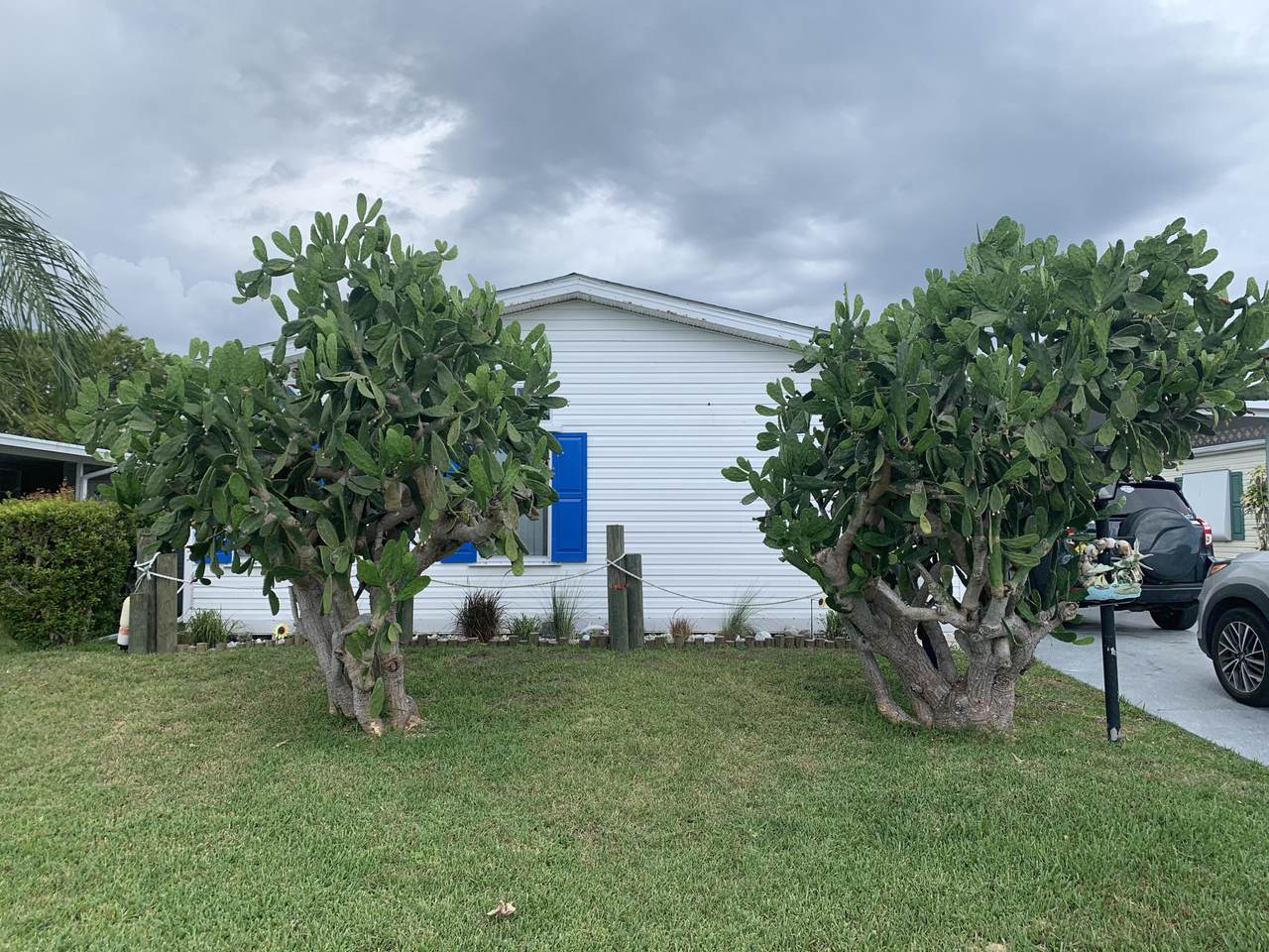 8021 Meadowlark Lane - Photo 1