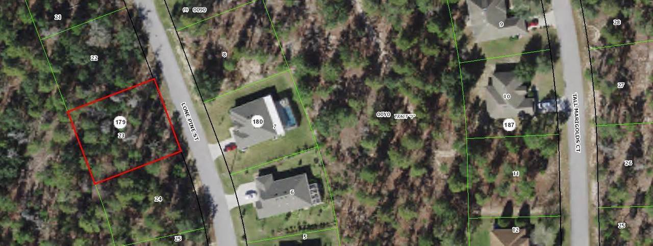 11 Lone Pine Street - Photo 1