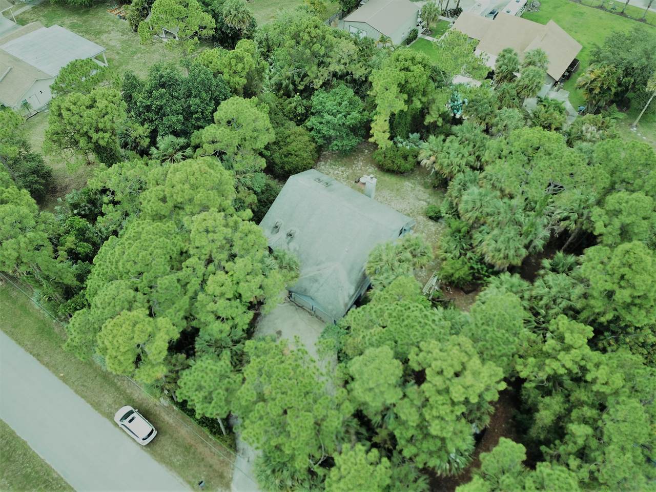 8729 Pinion Drive Drive - Photo 1