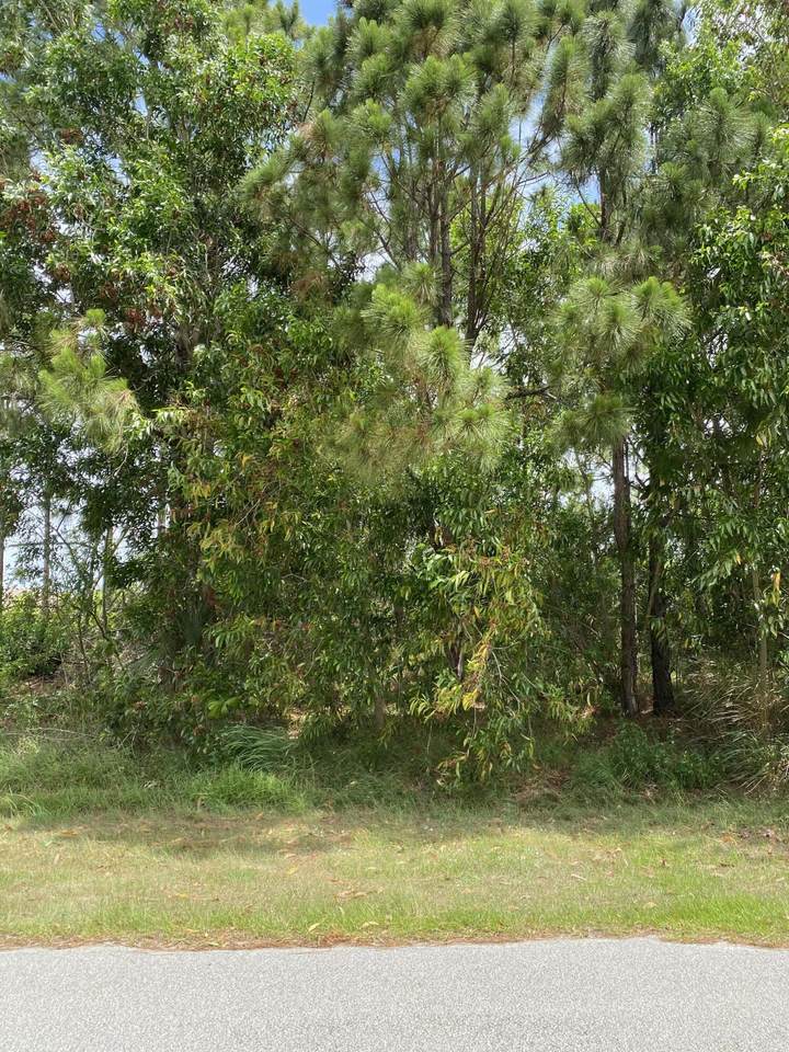 5853 Culebra Avenue - Photo 1