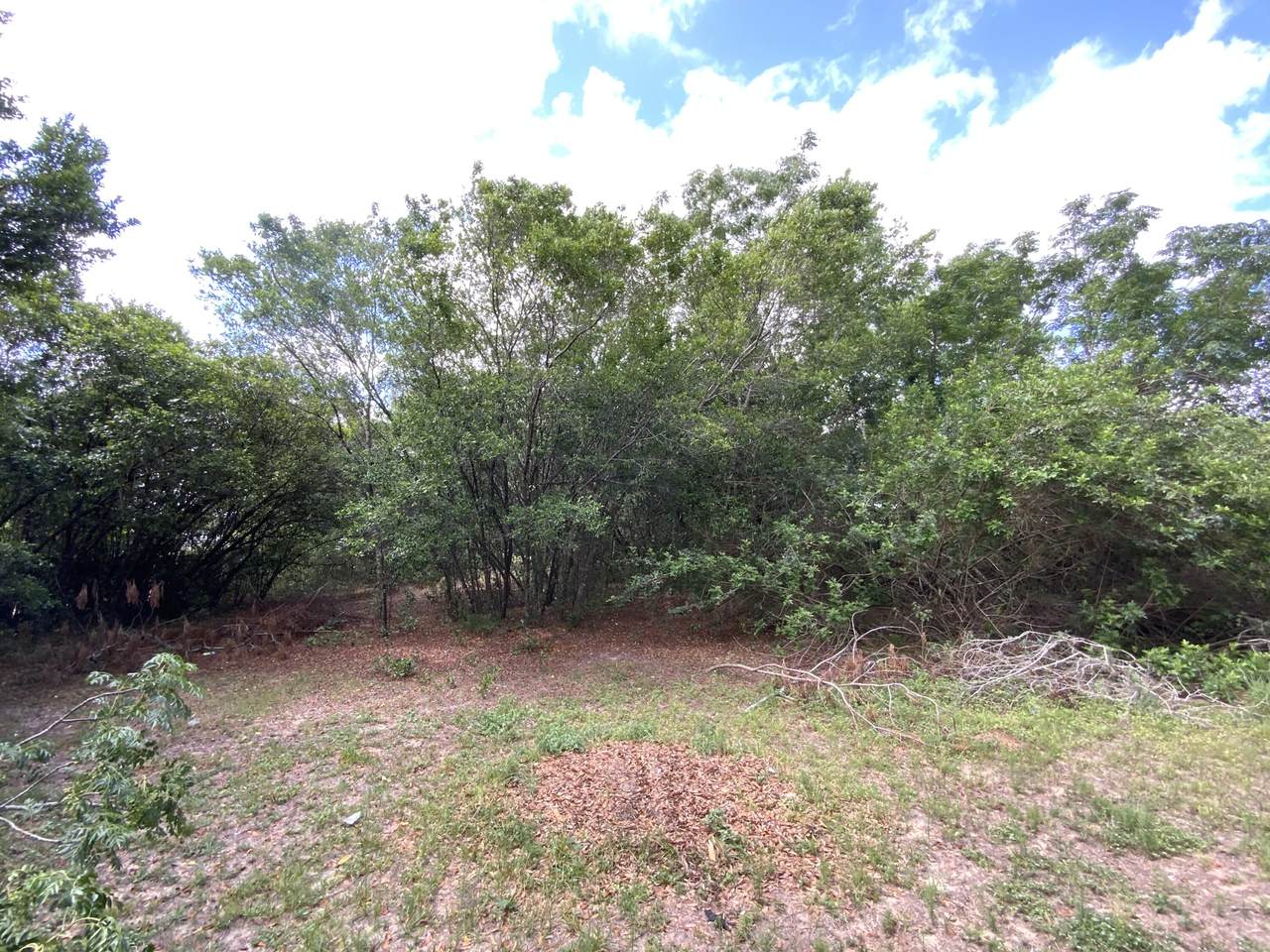 0 Eastwood Dr - Photo 1