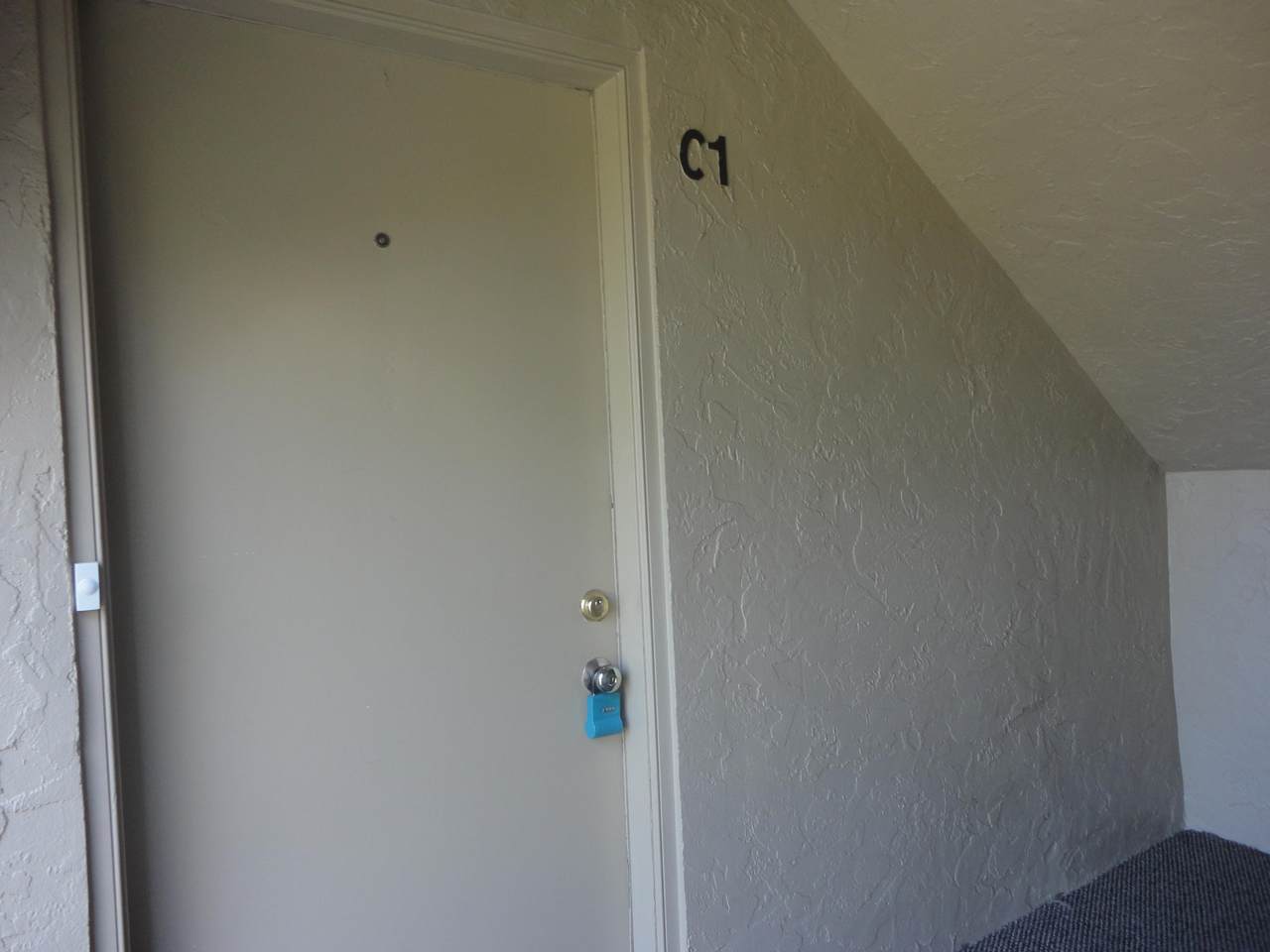 531 Shady Pine Way - Photo 1