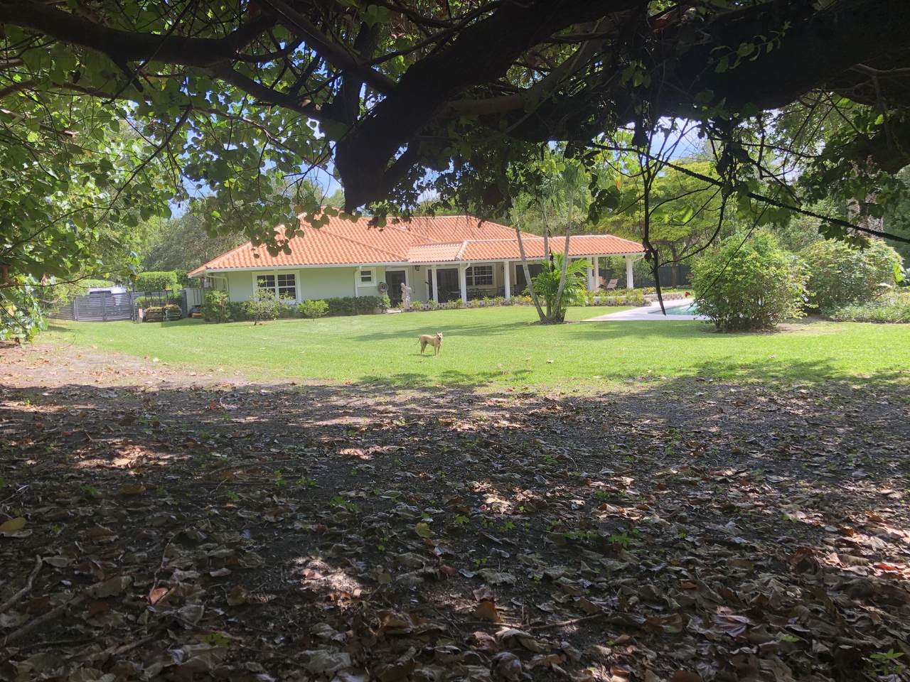 5659 Whirlaway Road - Photo 1