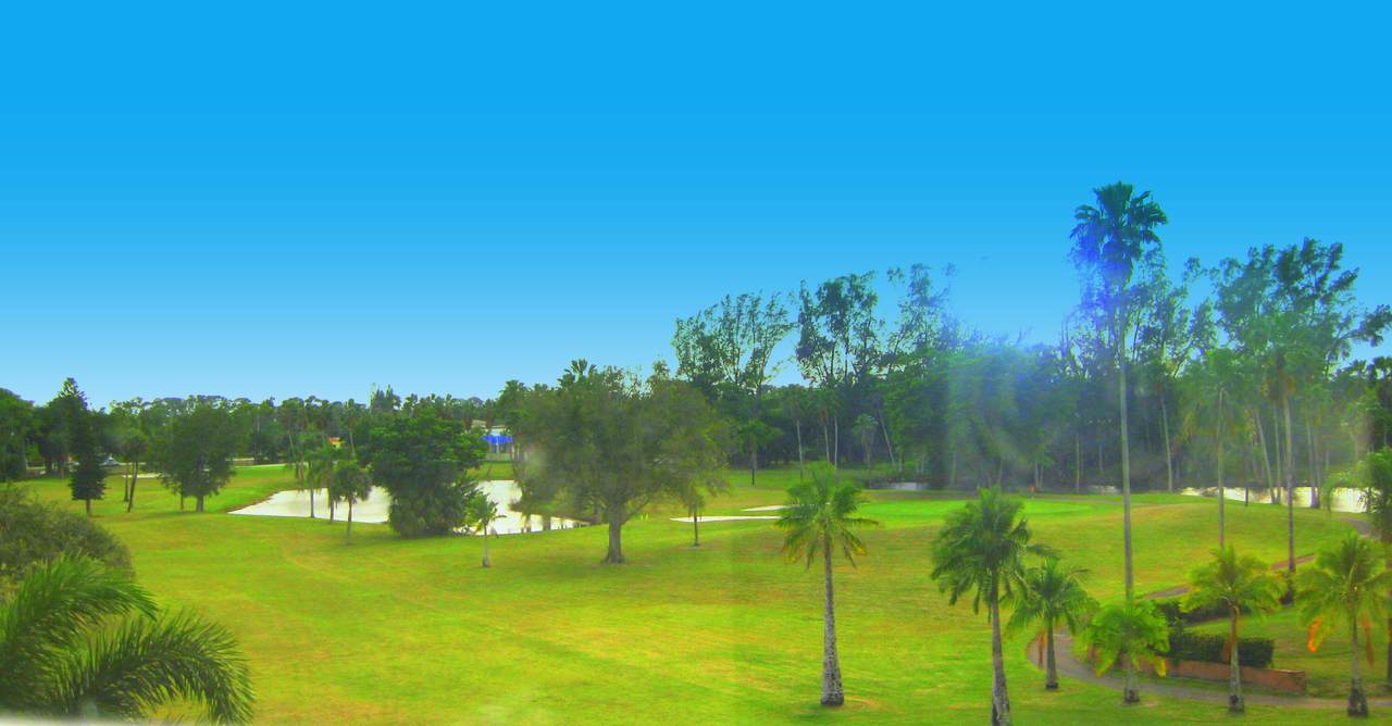 3755 Via Poinciana - Photo 1