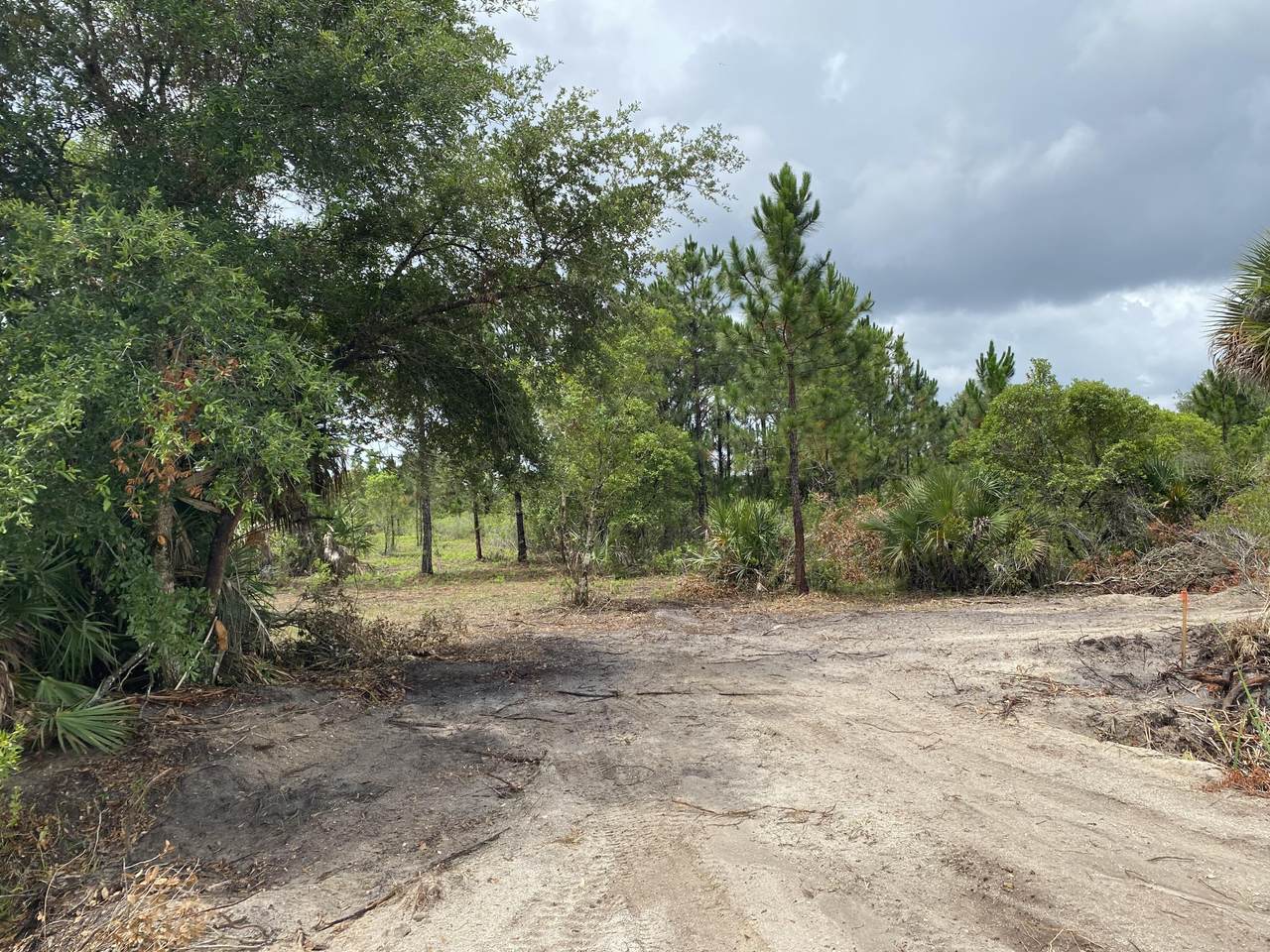 16280 320th Street - Photo 1