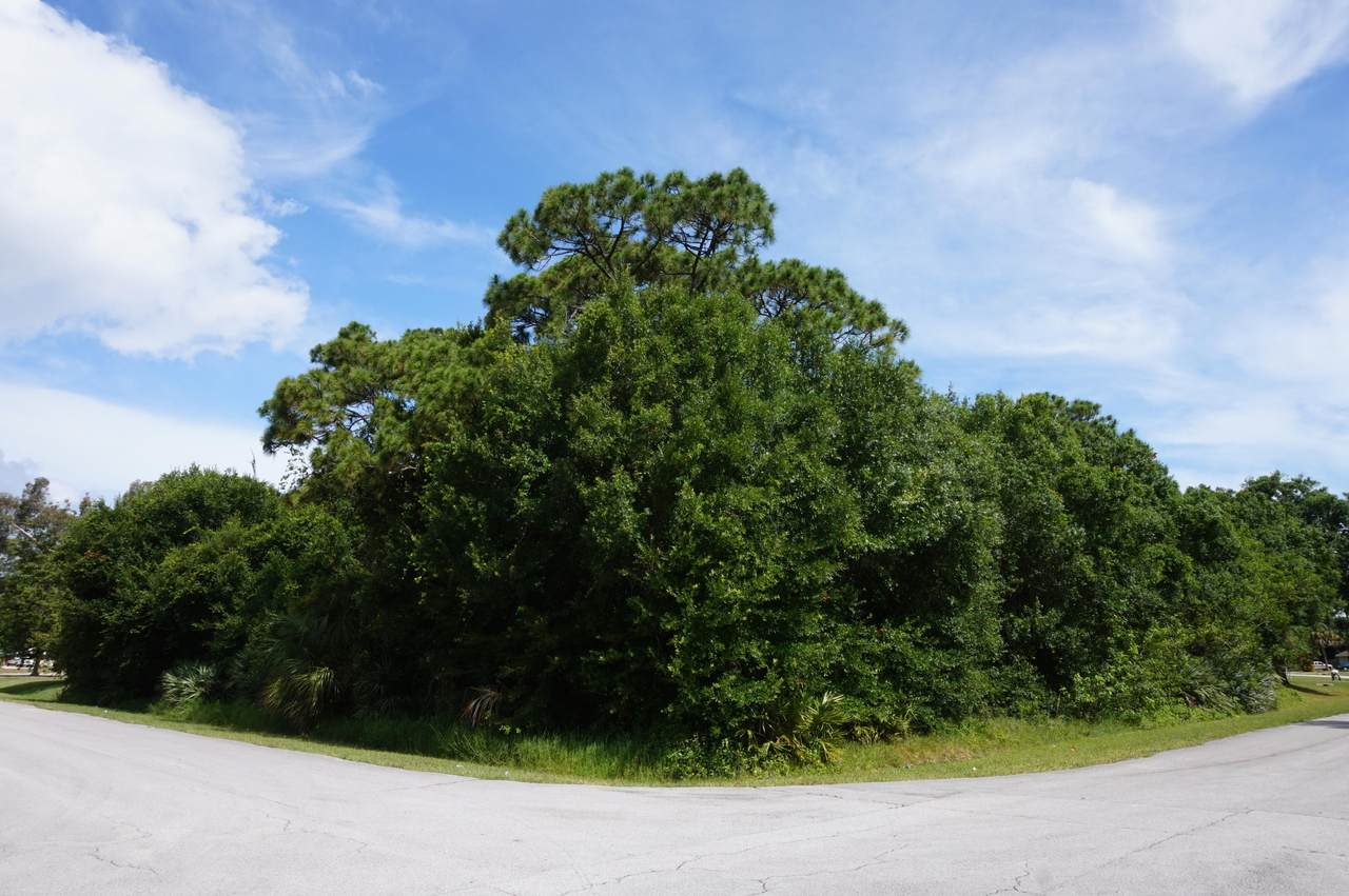 5707 Shannon Drive - Photo 1