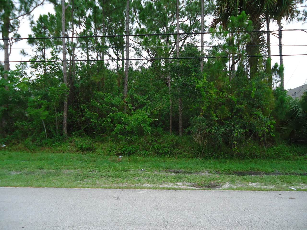 217 Whitmore Drive - Photo 1