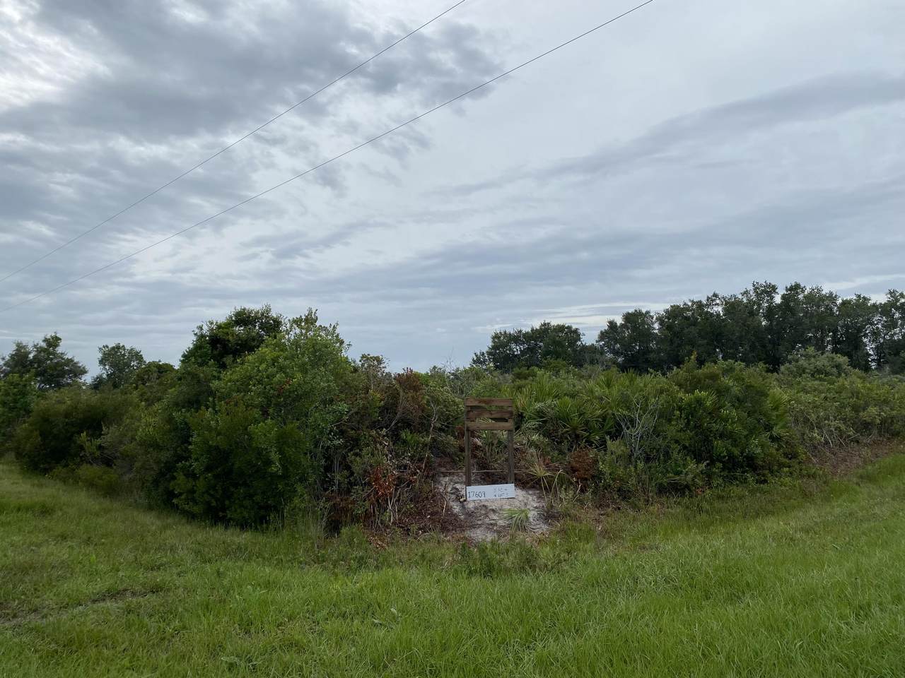 17609 296th Street - Photo 1