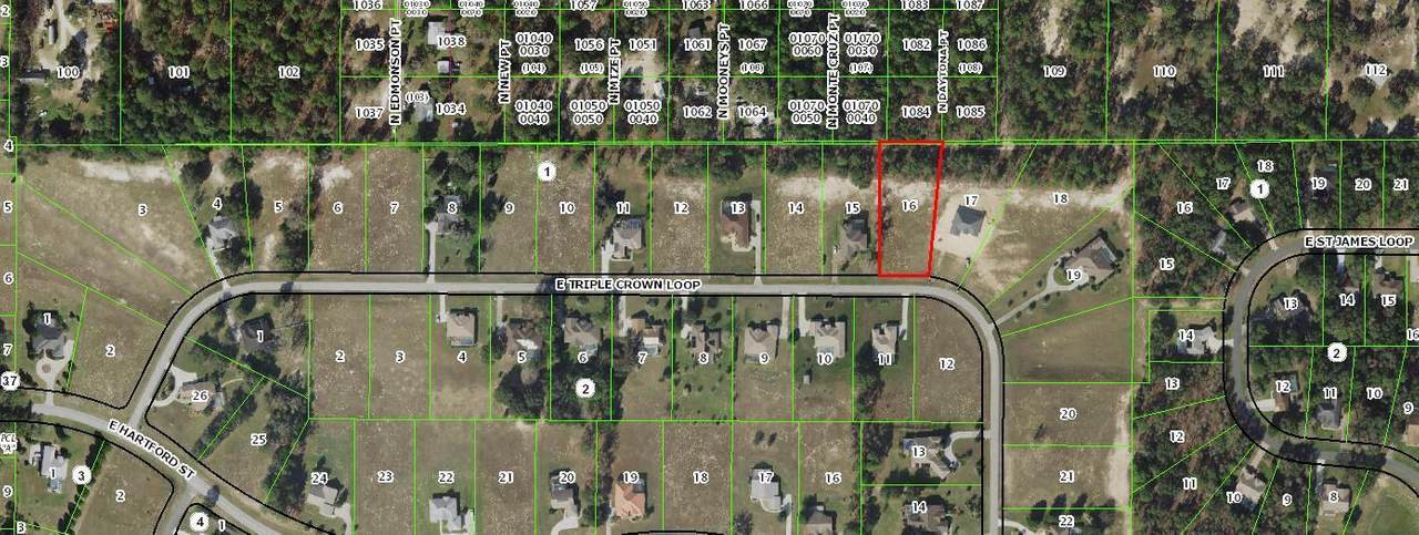 1301 Triple Crown Loop - Photo 1