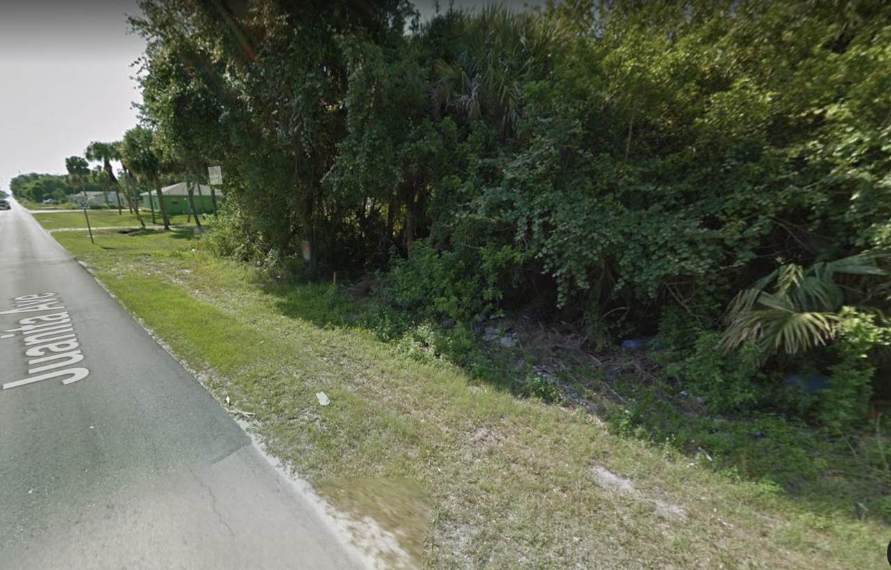 0 Juanita Avenue - Photo 1