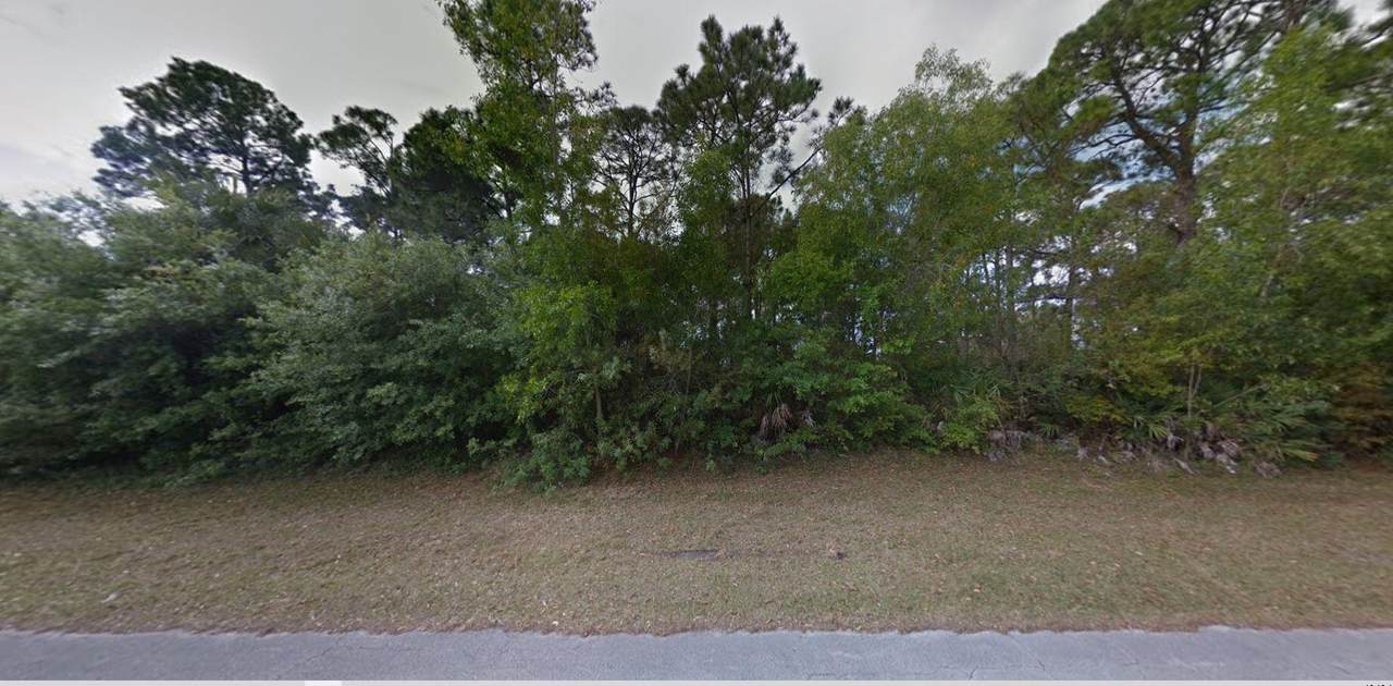 2172 Leafy Road - Photo 1