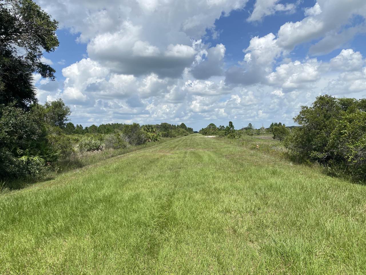 18342 298th Street - Photo 1