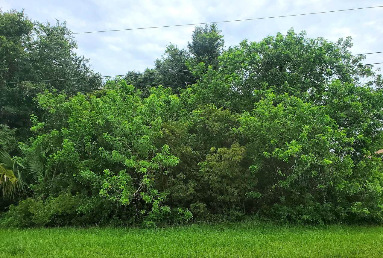 349 Log Drive - Photo 1