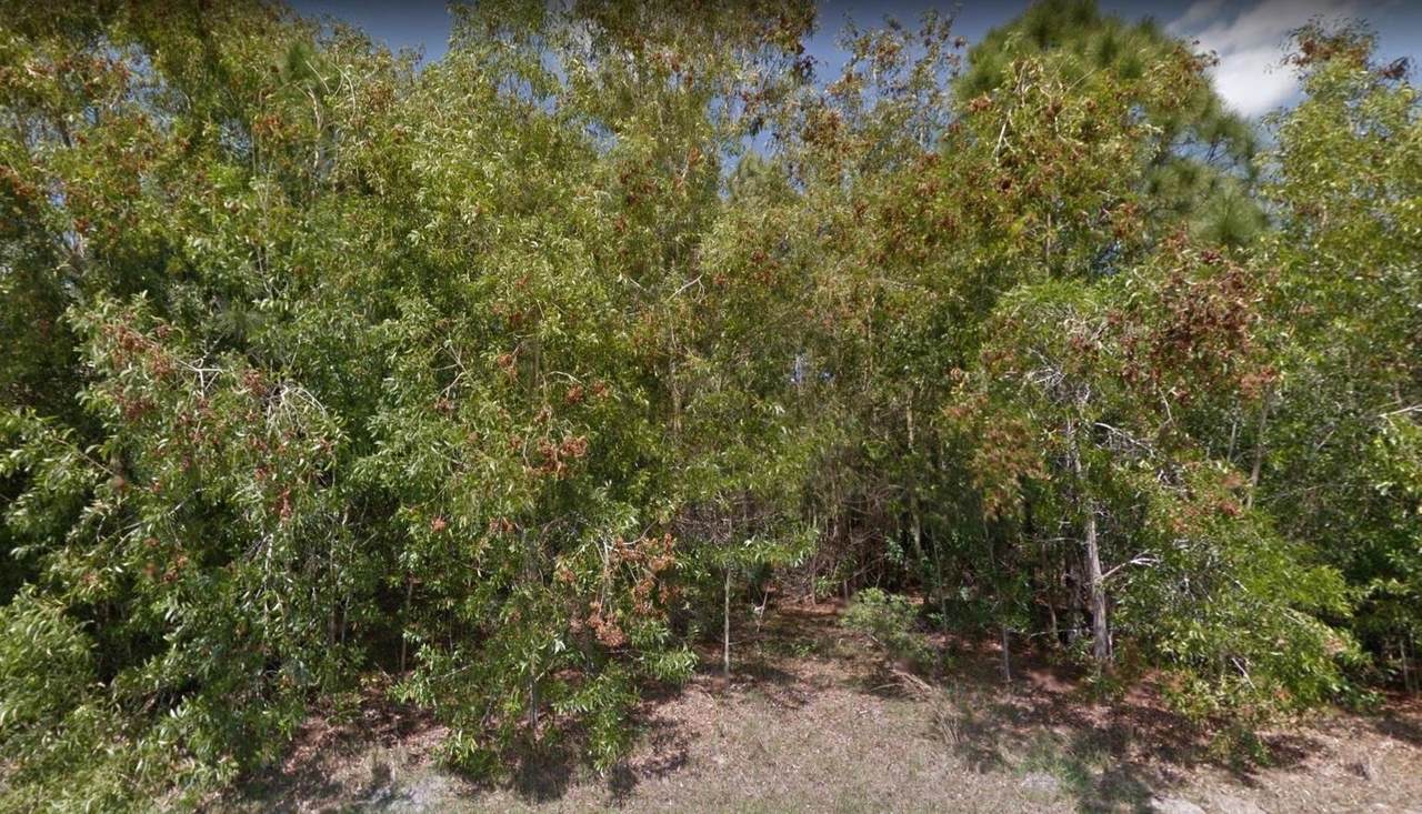 5369 Lamoore Lane - Photo 1