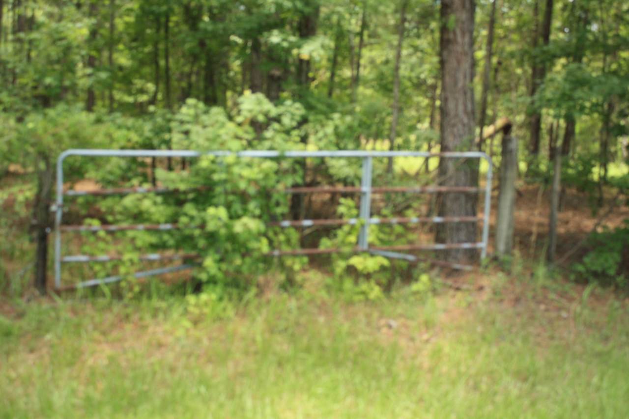 000 Skeen Rd Road - Photo 1