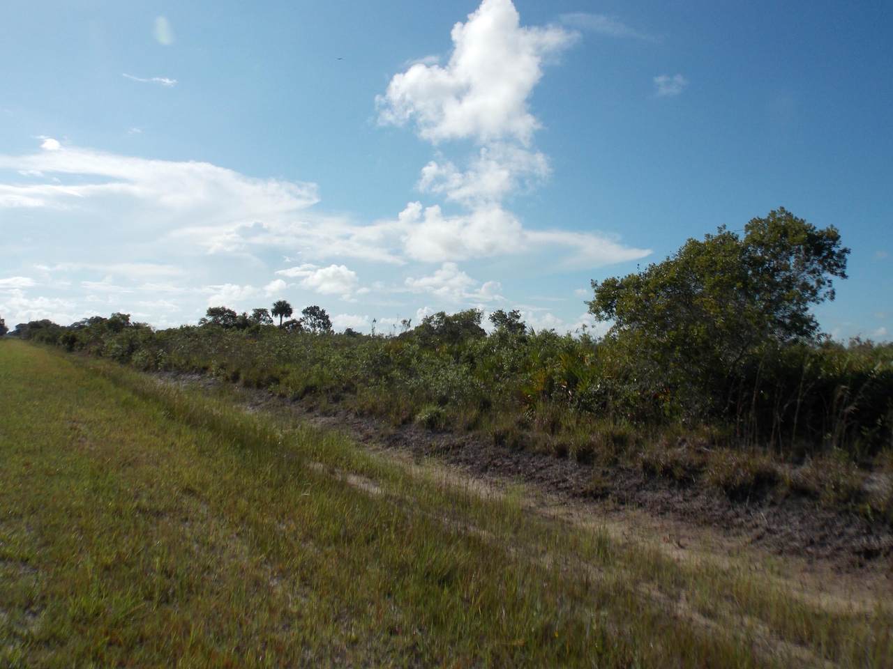 20270 244th Street - Photo 1