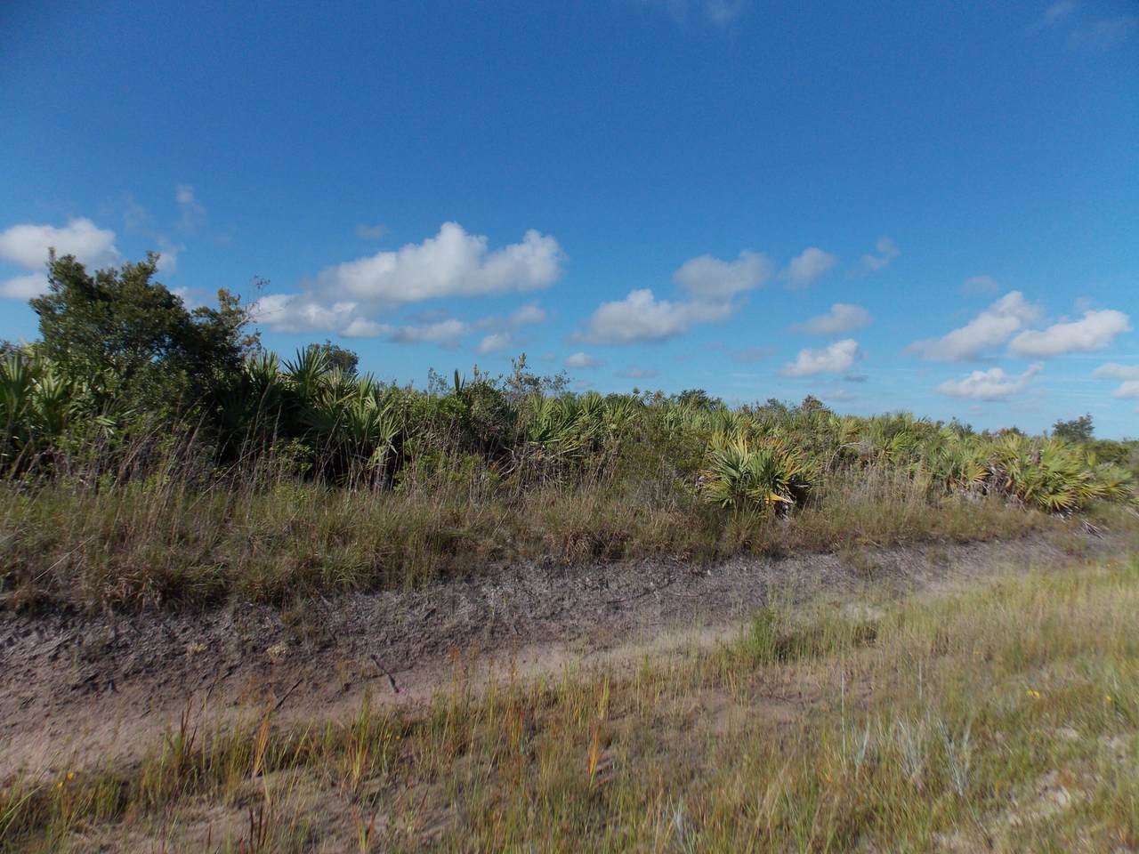 20374 244th Street - Photo 1