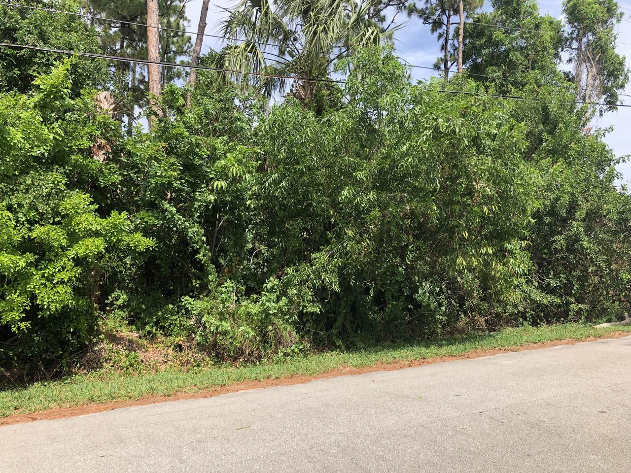 5708 Tangelo Drive - Photo 1