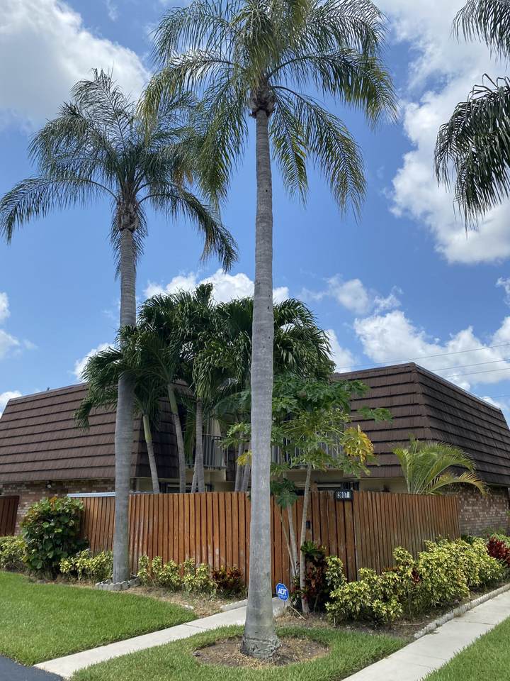 3907 Carolina Drive - Photo 1