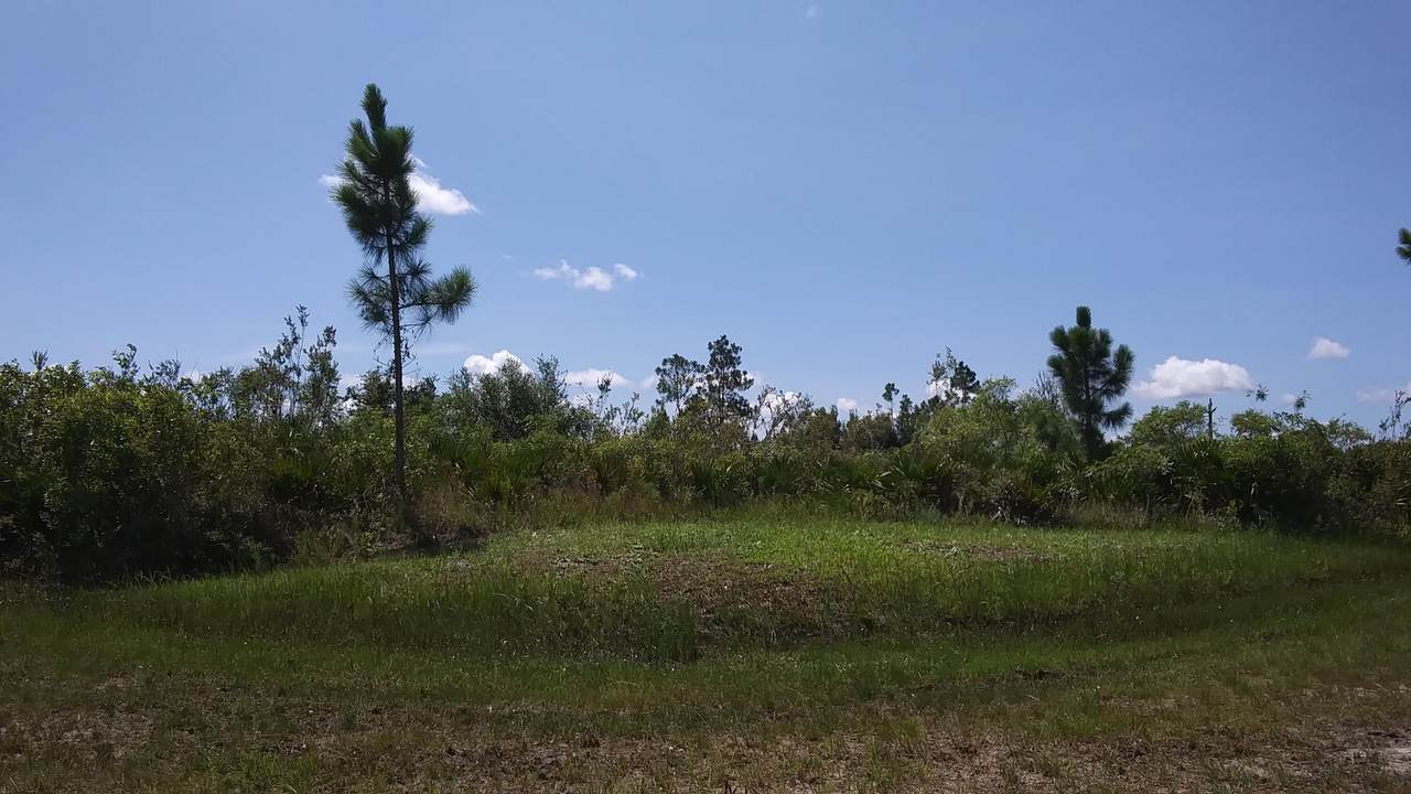 0 Calendula Drive - Photo 1